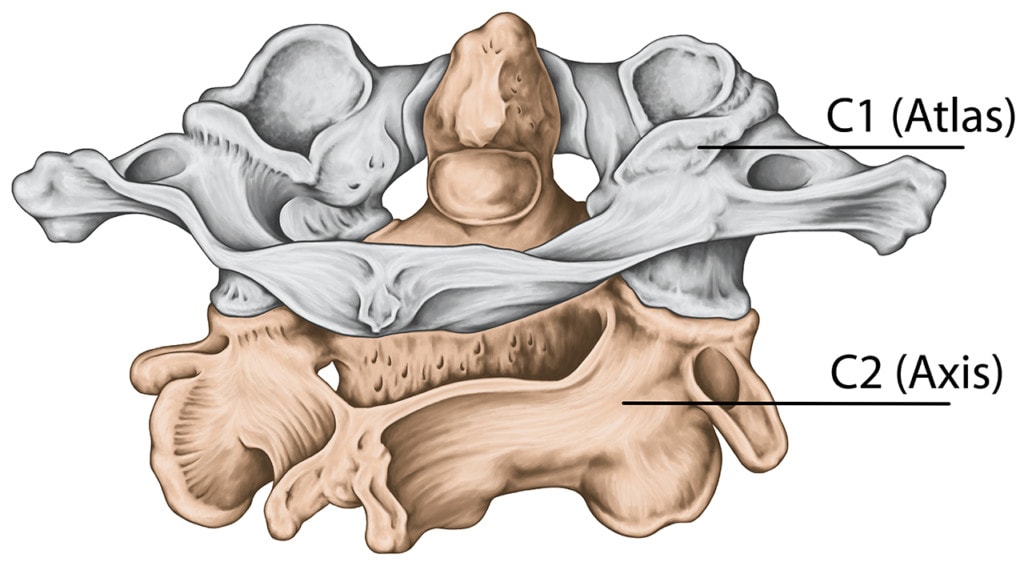 alar-ligament-treatment