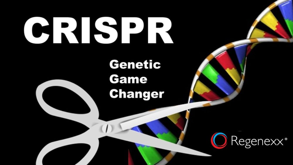 CRISPR: The Equivalent of the Internet Modem in Genetics and How It Will Change Everything…