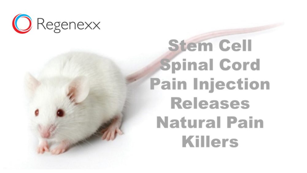 Can Stem Cells Treat Chronic Pain?