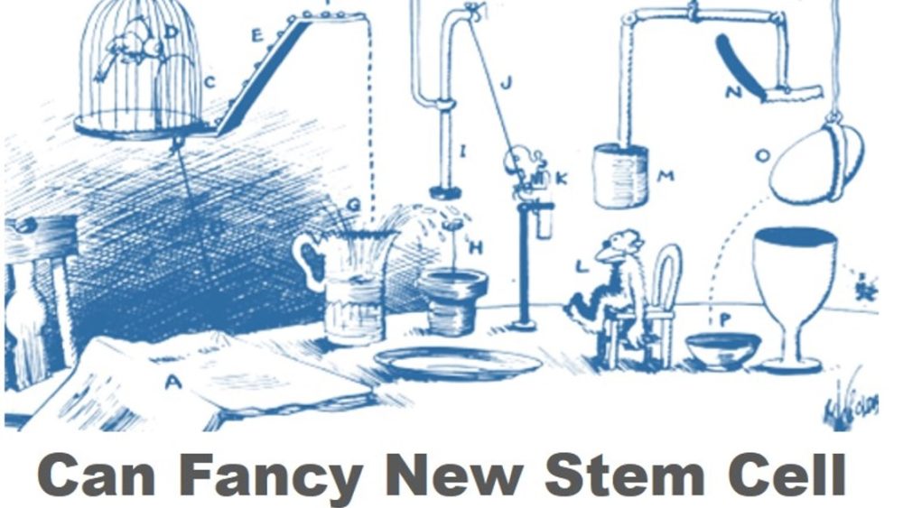 The Bone Marrow Harvest Doohickey Science Challenge…