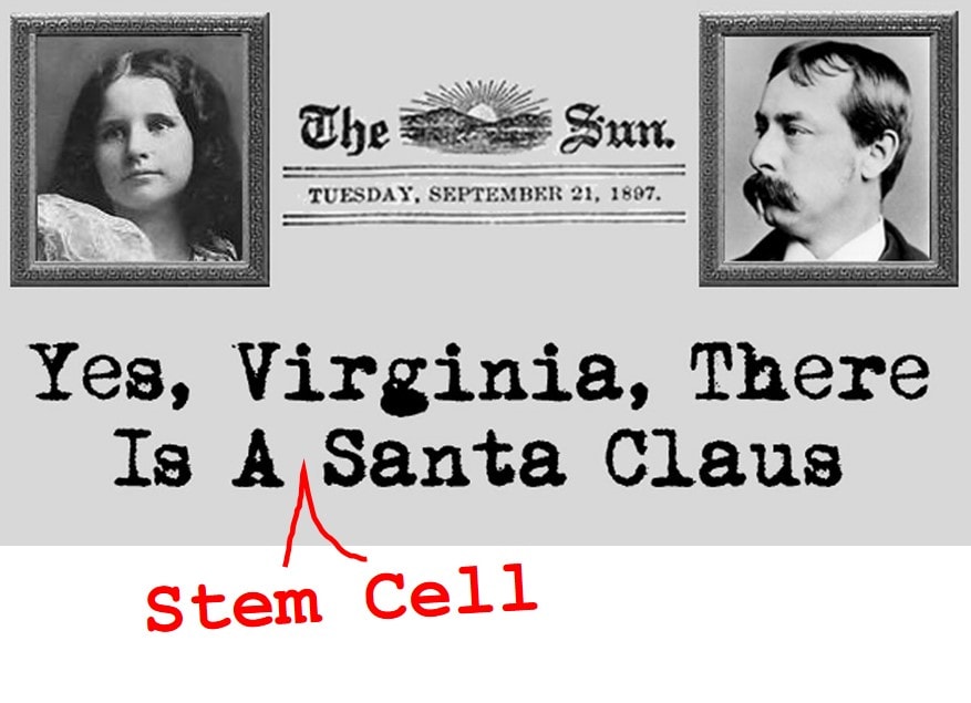 Cord Blood: Yes, Virginia, There Is a Stem Cell Santa ...