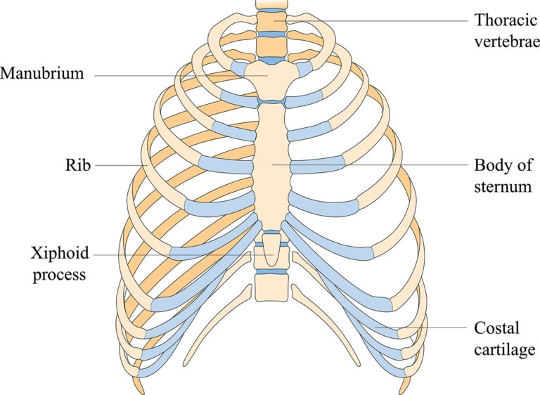 xiphoidalgia