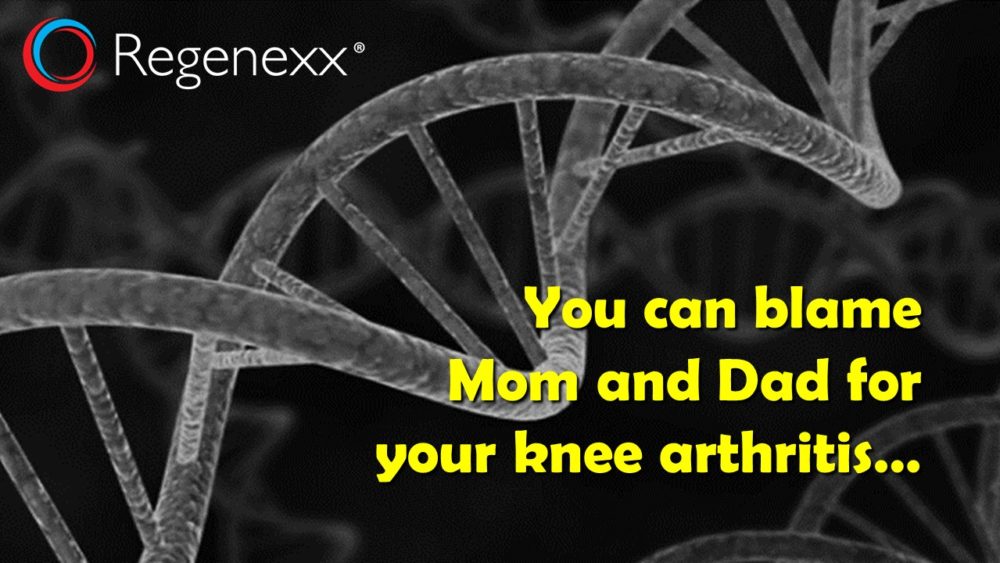 You Can Blame Your Parents for Your Knee Arthritis Genes…