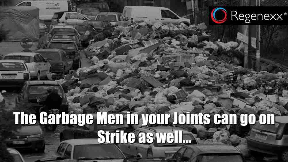 Glucosamine and Arthritis: Helping the Garbage Men of the Cell…