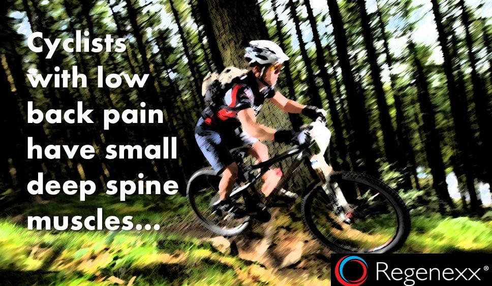Cycling Lower Back Pain Has Little to Do with Back Strength…