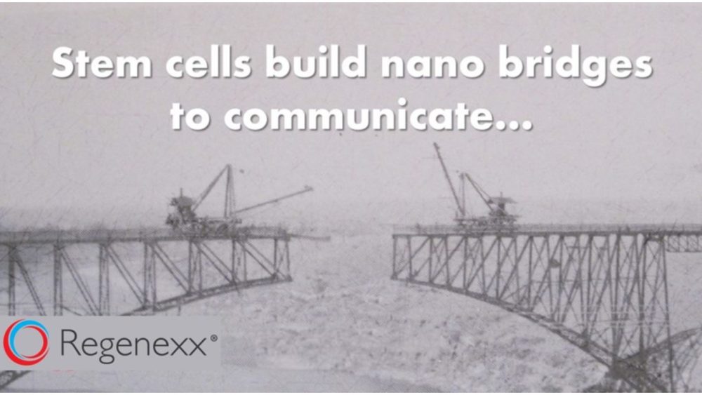 A New Method of Stem Cell Communication Discovered!