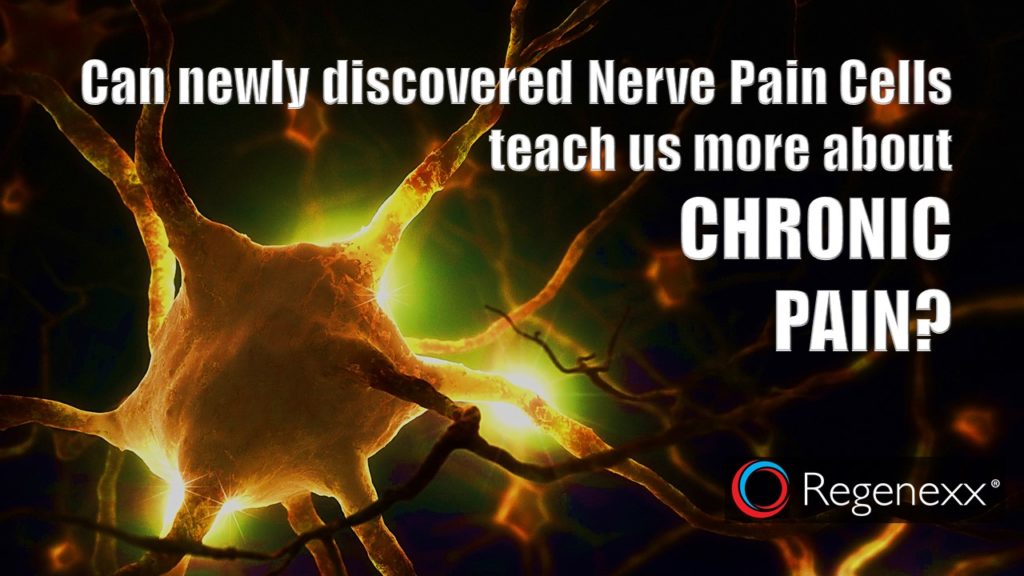 new pain nerve cells