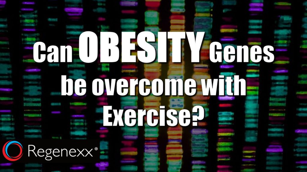 obesity genes