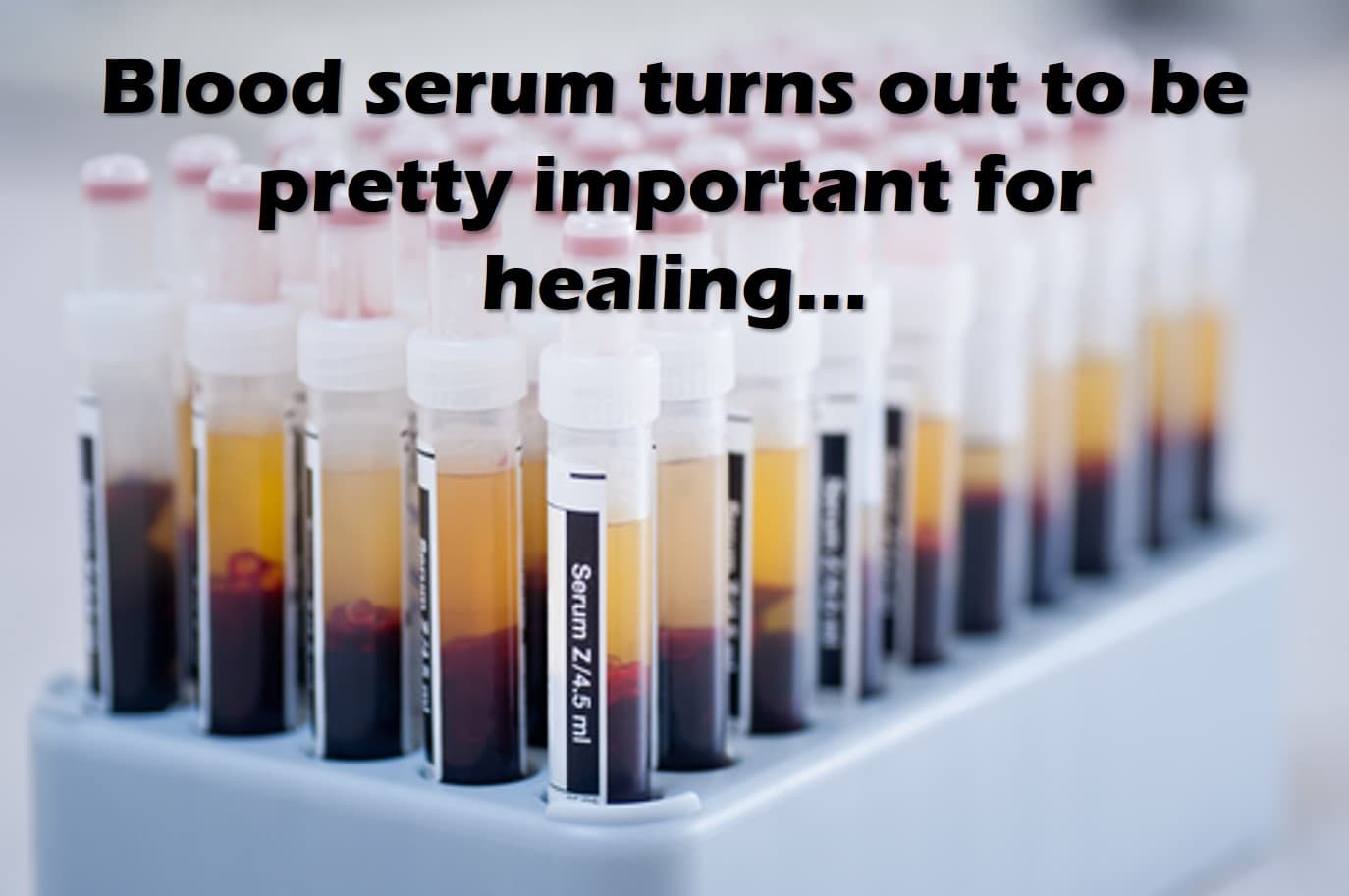 blood serum and healing