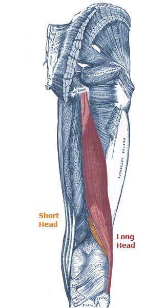 side of knee pain