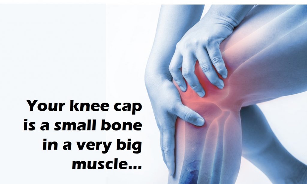 pain in your knee cap