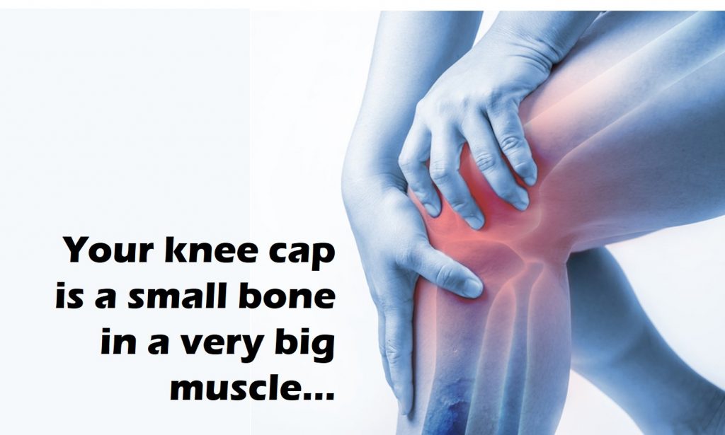 lower knee cap pain