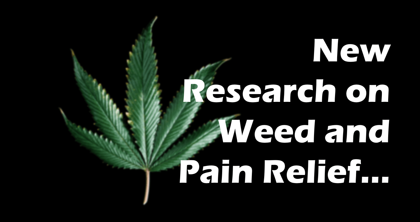 is weed all you need for chronic pain