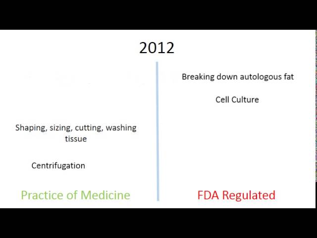 FDA Regulation of Stem Cells