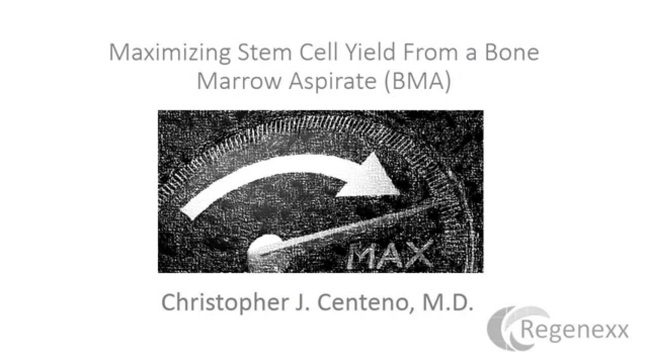 Maximizing Stem Cell Yield from a Bone Marrow Aspiration