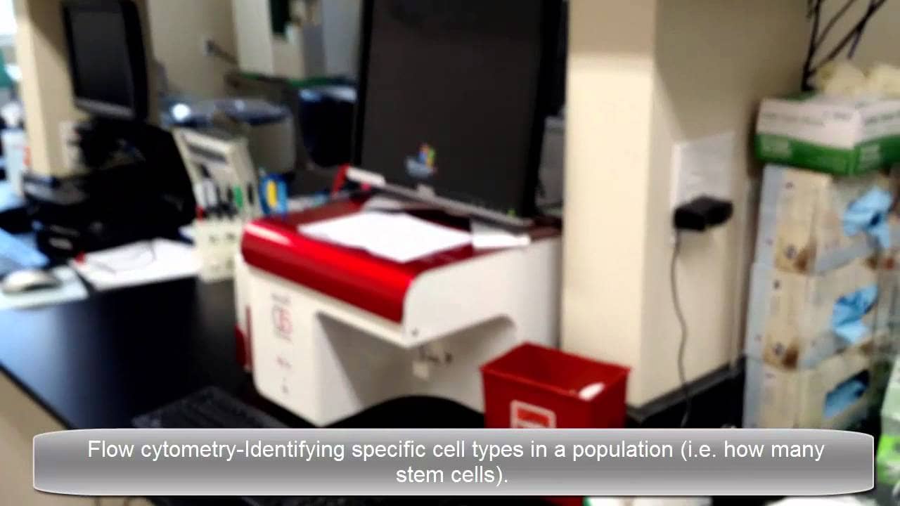 Regenexx Research Only Lab