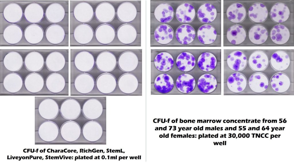 old age stem cells