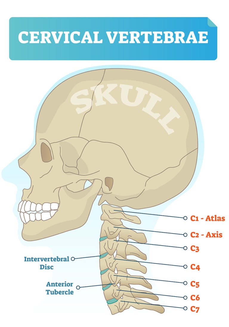 Cervical Spine Neck Pain And Dizziness