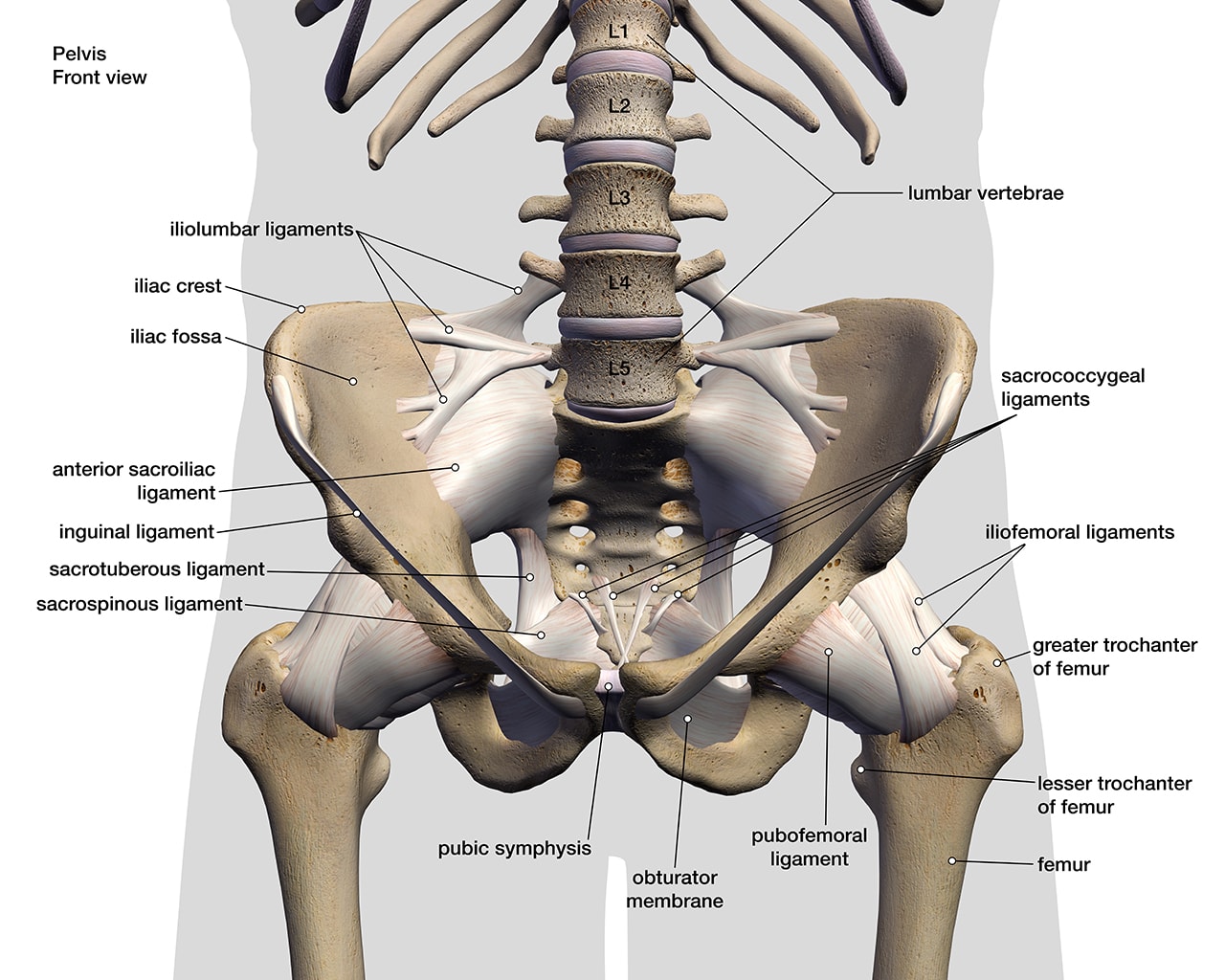 sacroiliac ligament pain