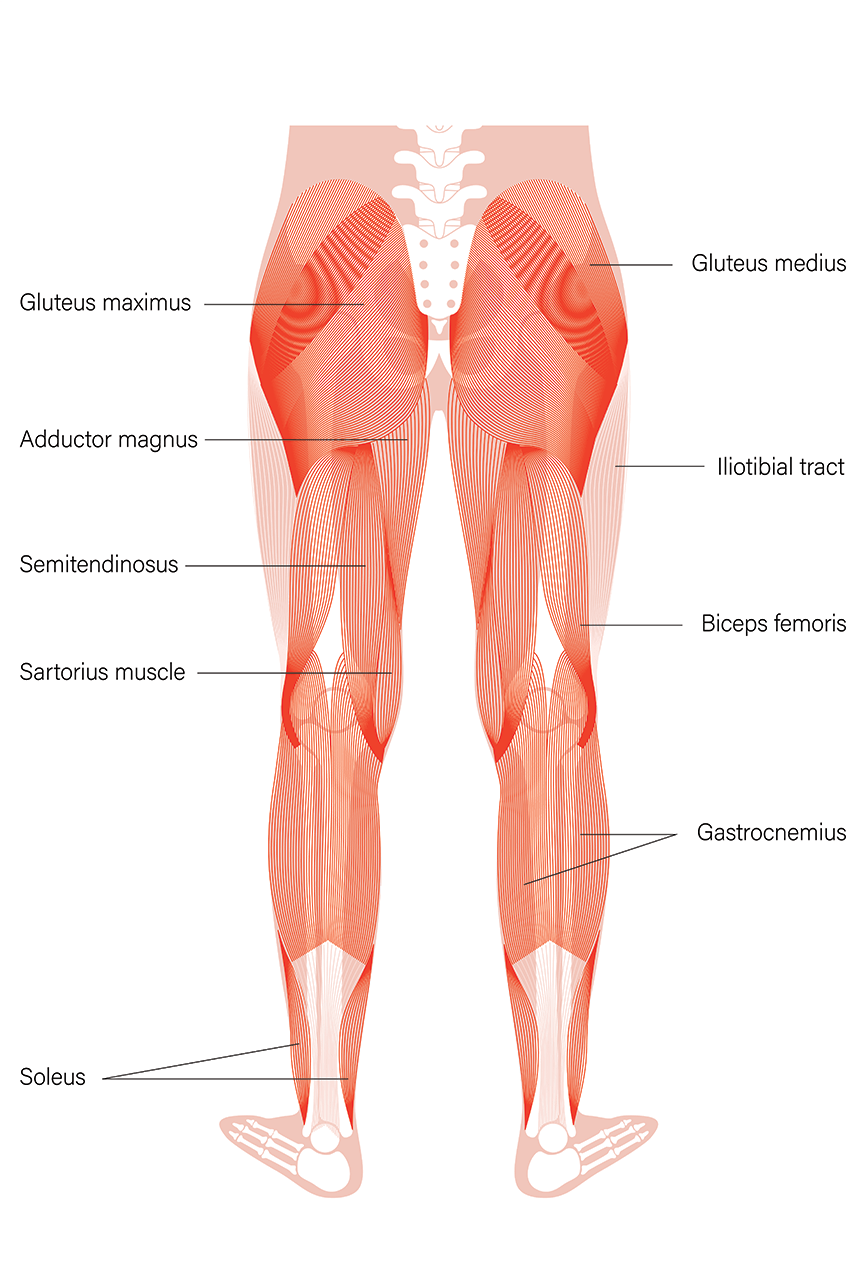 Should You Get Gastrocnemius Recession Surgery Regenexx