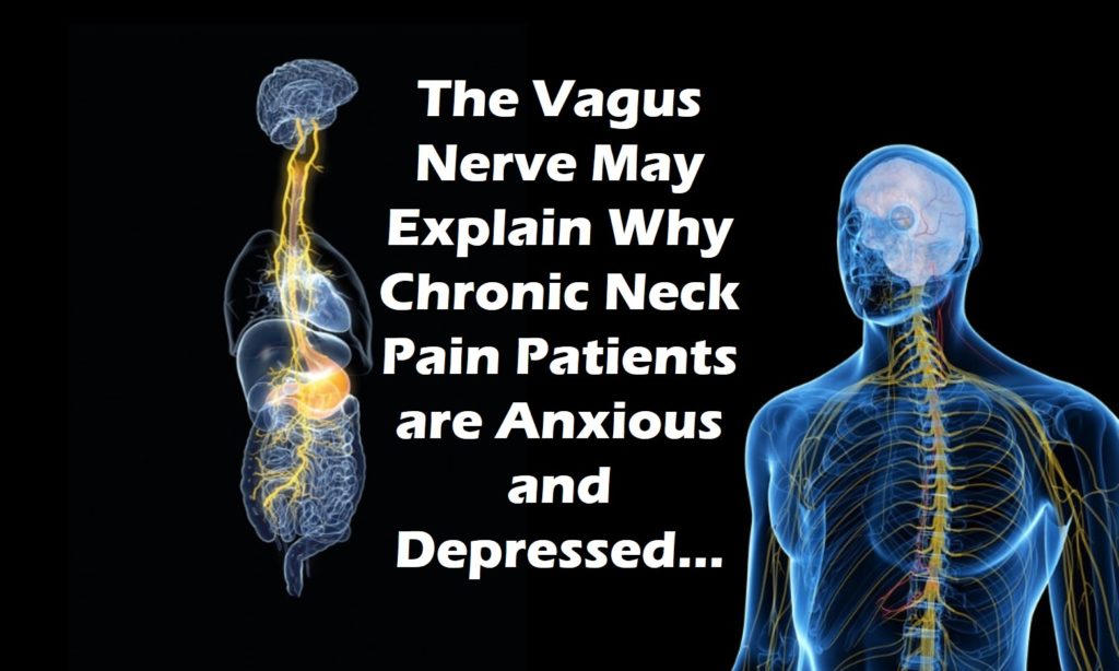 The Vagus Nerve, Neck Pain, Headaches, and Anxiety Regenexx Blog