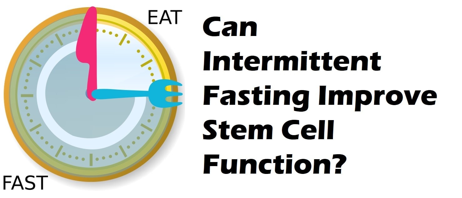 Cell stem cell fasting