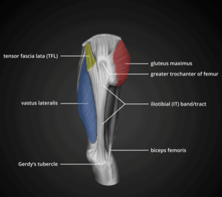 The Glutes and the ITB - Regenexx