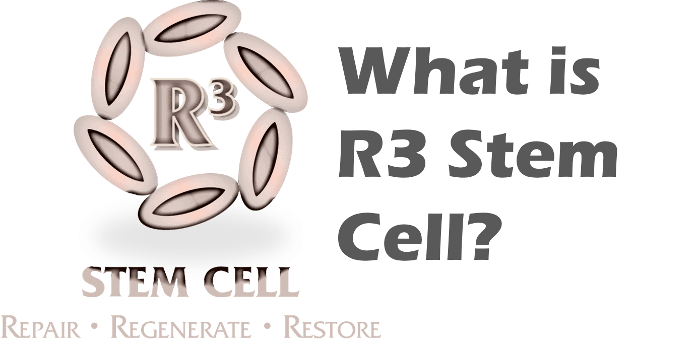 R3 stem cell 2