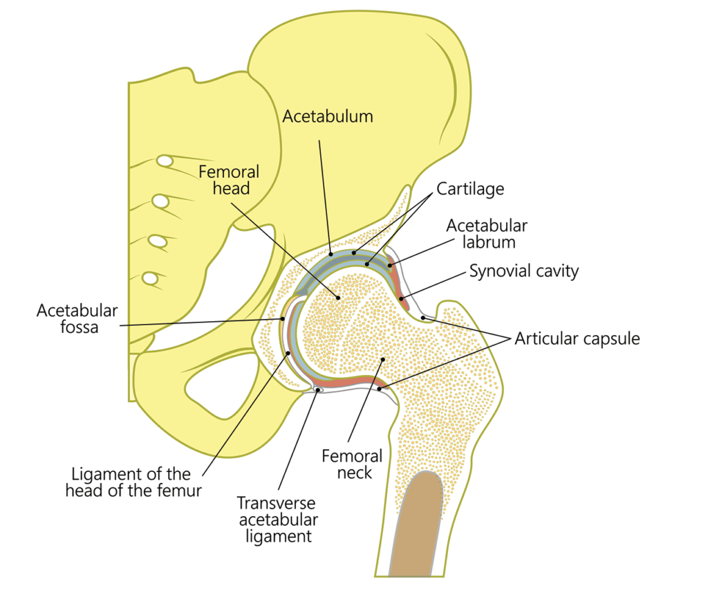 what-is-capsular-distension-regenexx