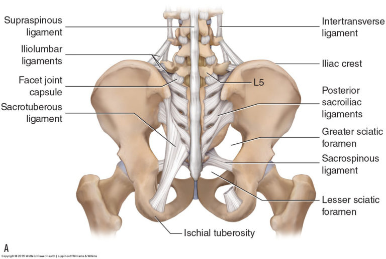 ask-dr-c-episode-18-spondylolisthesis-and-hip-knee-pain-regenexx