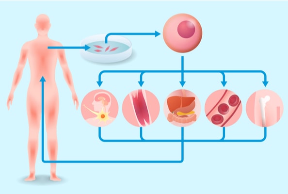 Visual representation of regenerative medicine