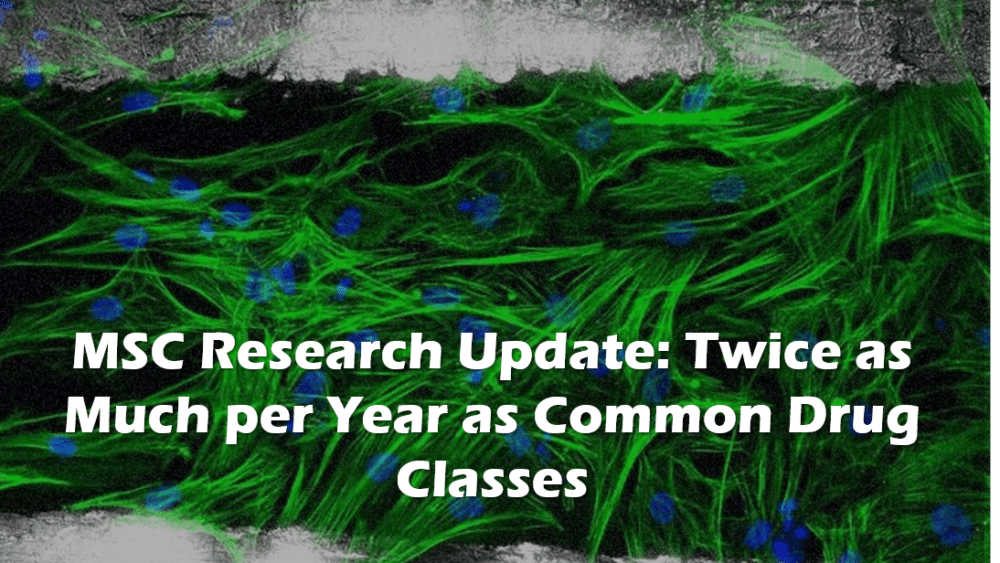 Mesenchymal Stem Research Continues at a Furious Pace