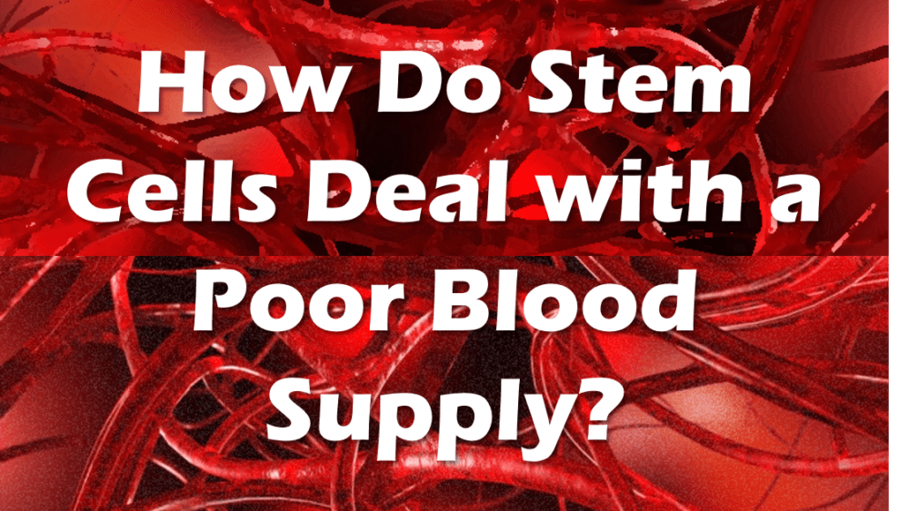Ask Dr. C Episode 21: Stem Cells and Avascular Tissues
