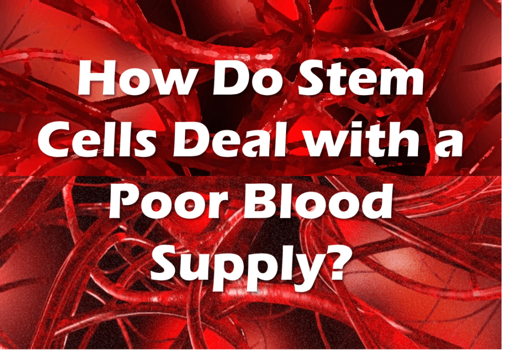poor blood supply stem cells