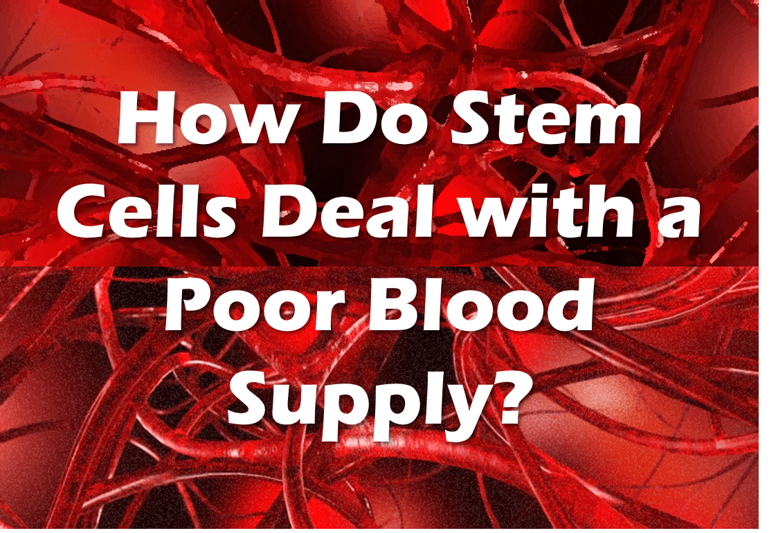 poor blood supply stem cells