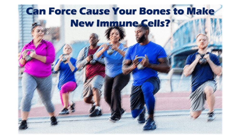 Does Exercise Create New Immune Cells in Your Bones?