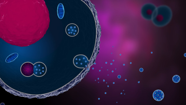 Scientific illustration of a cell secreting exosomes