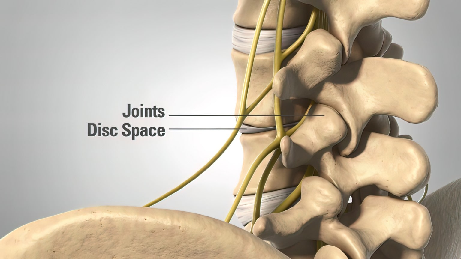 What Is Thoracic Radiculopathy? - Regenexx