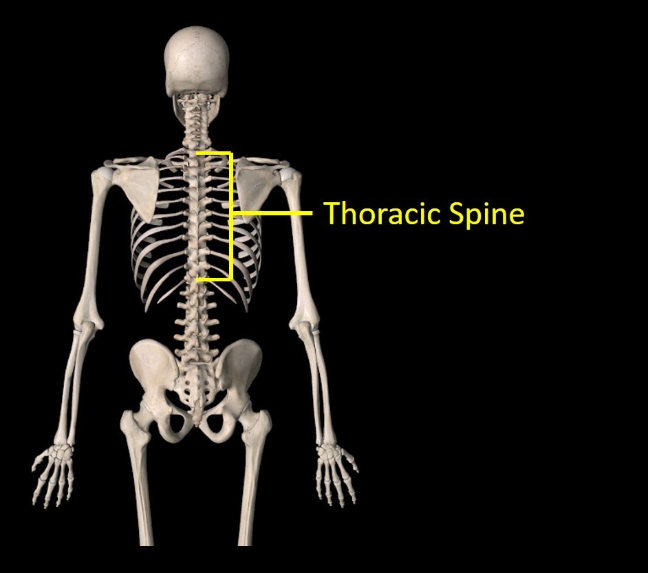 What Is Thoracic Radiculopathy? - Regenexx