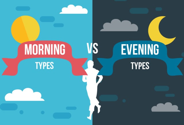 Exercise in the evening vs 2024 morning