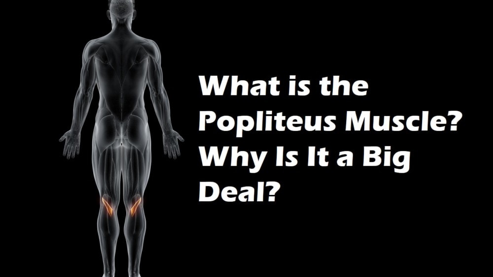 The Popliteus Muscle: A Little Muscle with a HUGE Impact