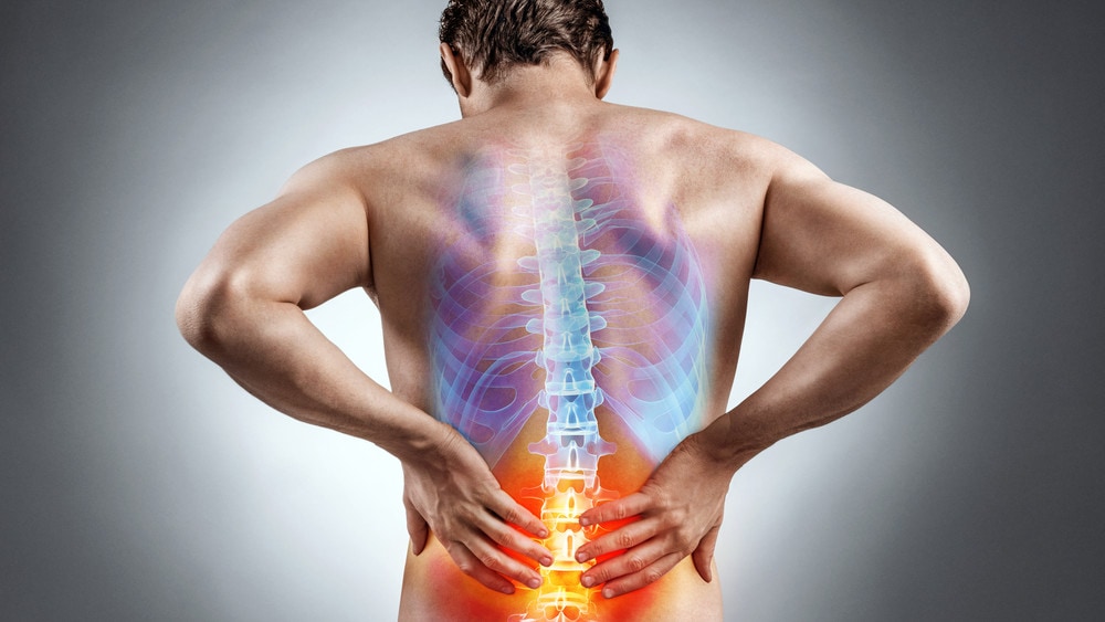 Can Senolytics Improve Back Pain and Disc Health?