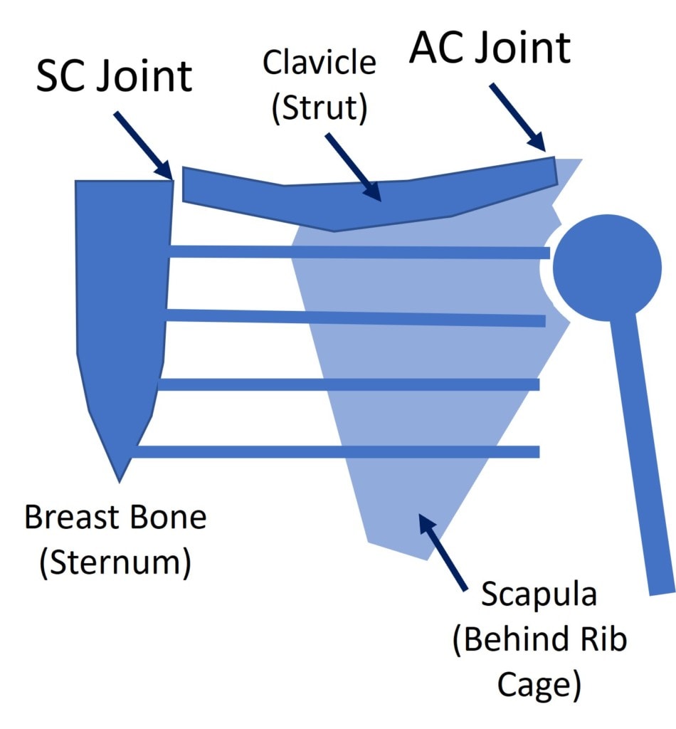 sternoclavicular joint pain