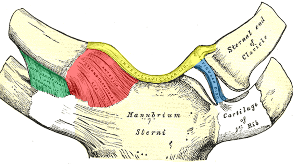 Stenoclavicular Joint Pain?