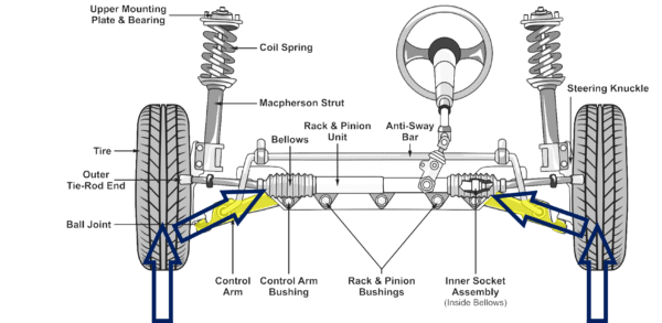 The Critical Upper Body Suspension System - Regenexx