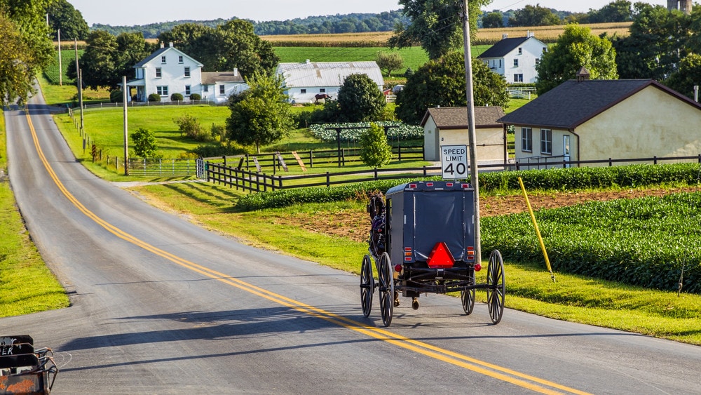 The Amish, Fake Stem Cells, and a Nice Old Man?