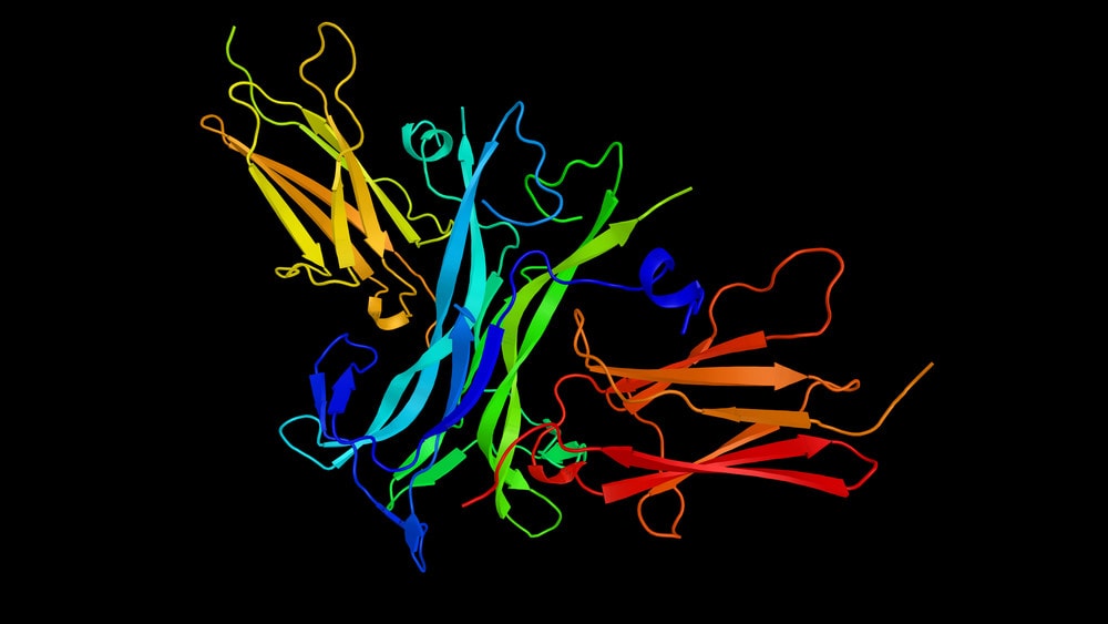 Neurotrophin Regulating Drugs to Help Knee OA Pain: What Could Go Wrong?