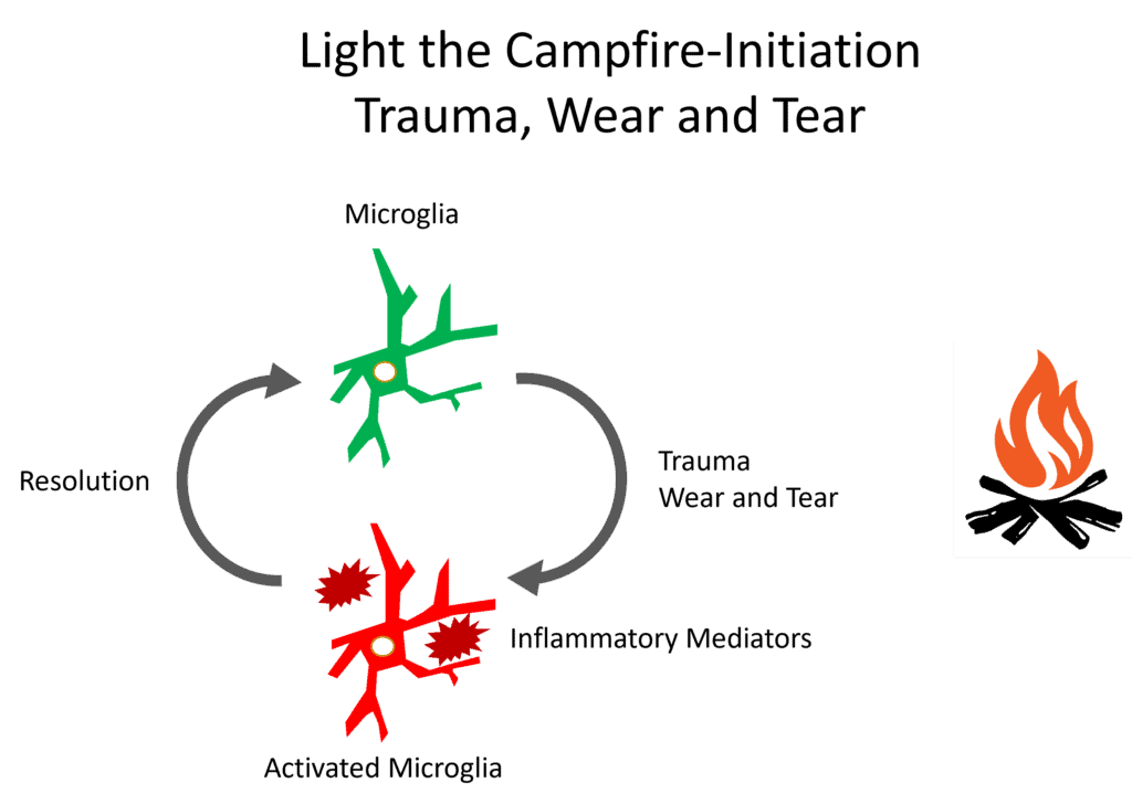 The Vagus Nerve, Inflammation, and the Neck: How are They Connected?